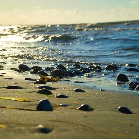 Semesterbostad 16 Person In Sydals